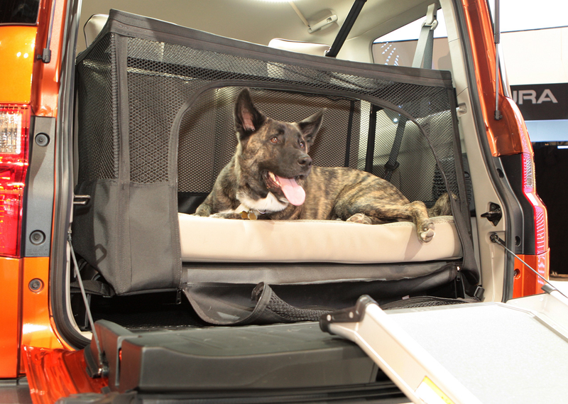 Illustration for article titled Honda Element Dog Friendly Concept Is For The Dogs